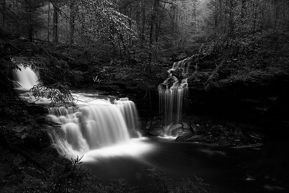 Ozone B&W