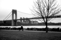 'One city, one river, one bridge, one tree, one soul, one life'