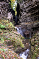 Watkins Glen
