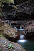 Watkins Glen