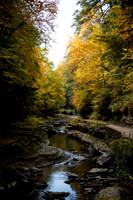 Watkins Glen