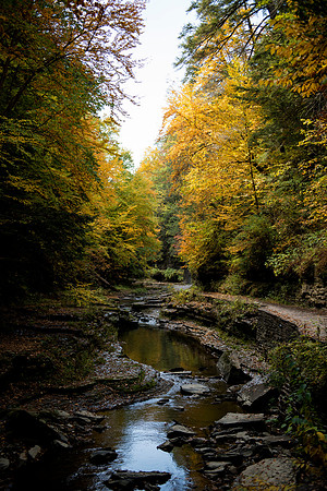 Watkins Glen