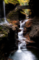 Watkins Glen