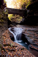 Watkins Glen