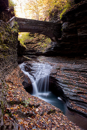 Watkins Glen