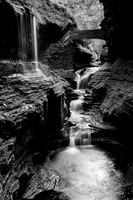 Watkins Glen