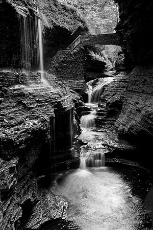 Watkins Glen