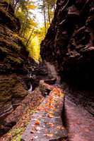 Watkins Glen