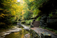 Watkins Glen