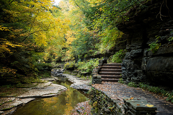 Watkins Glen