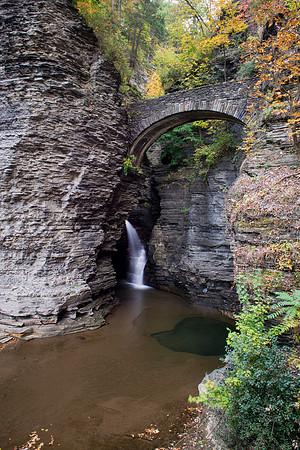 Watkins Glen