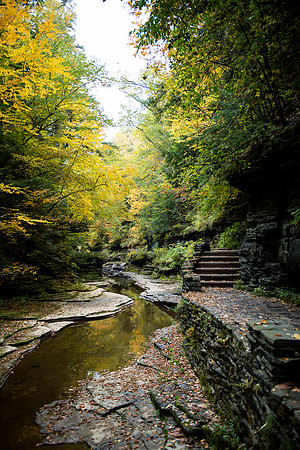 Watkins Glen