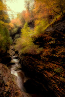Watkins Glen
