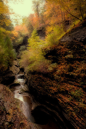 Watkins Glen