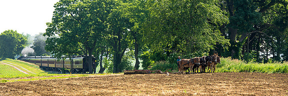 Amish Farmer