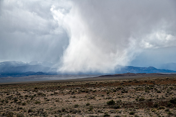 Desert Storm