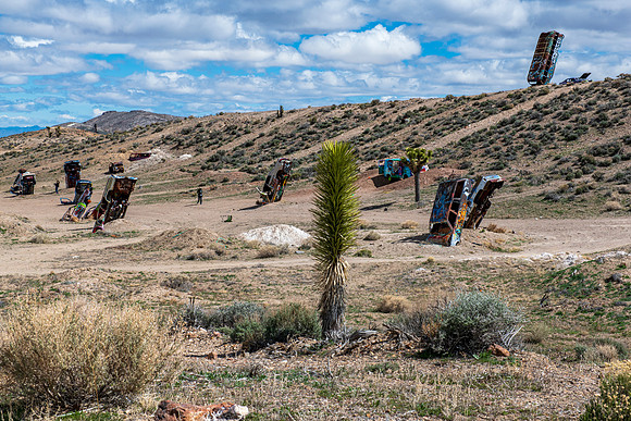 Car Forest Goldfield Nevada