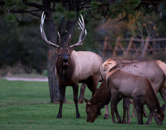 Estes Park, CO -2