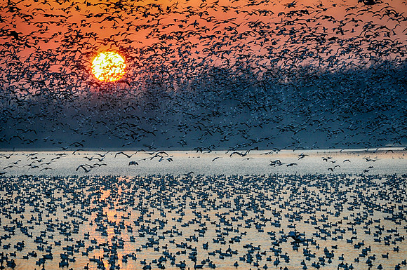 Sunrise at Middle Creek