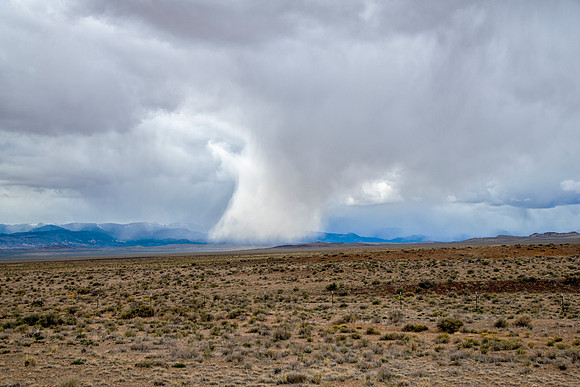 Desert Storm