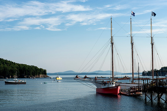Margaret Todd at Sunrise 2 Bar Harbor