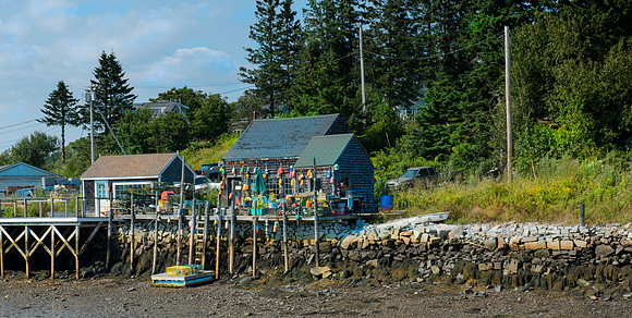Low Tide 3