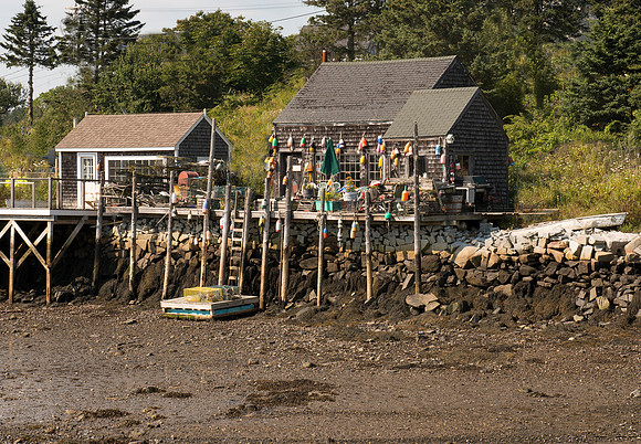 Low Tide 1