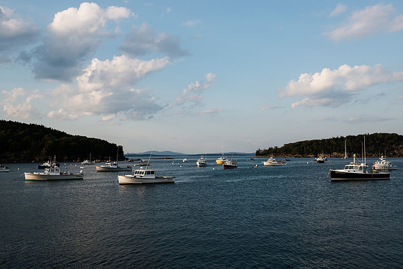 Bar Harbor at sunset