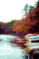 Laurel Lake