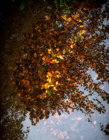 Reflections