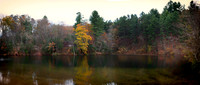 Laurel Lake
