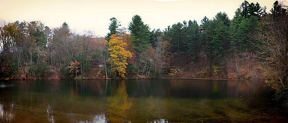Laurel Lake