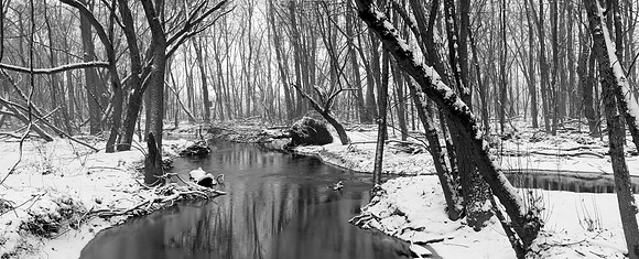 Wildwood Park