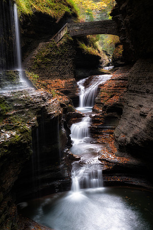 Watkins Glen