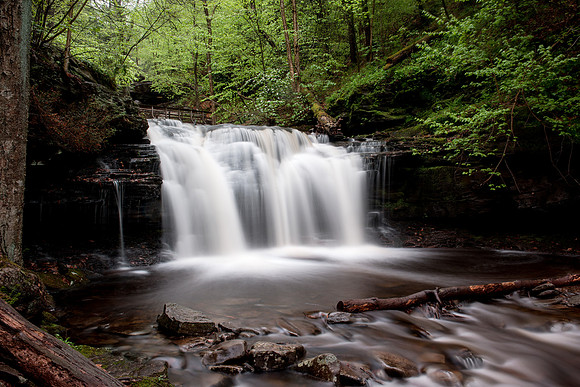Wyandot Falls