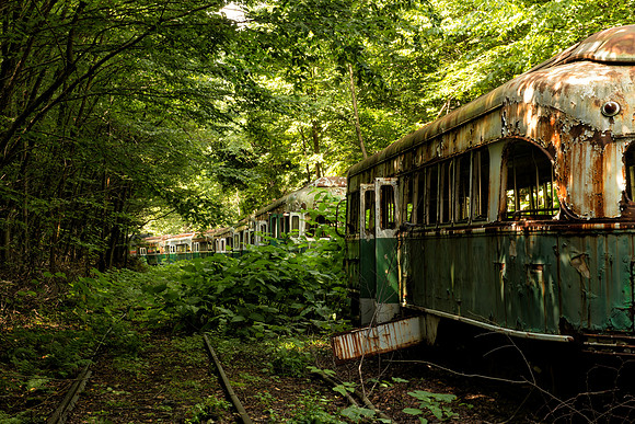 "Trolley Grave Yard "