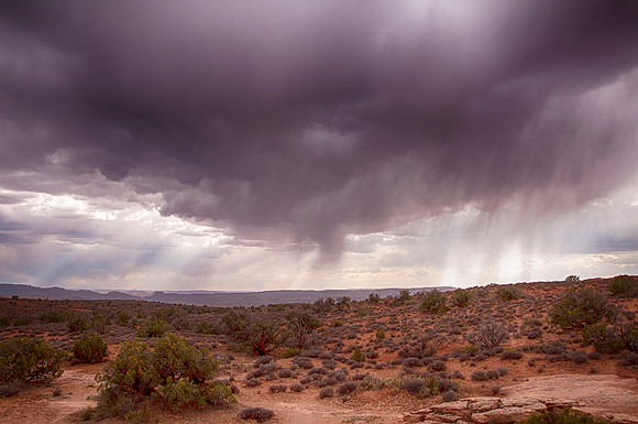 Storm Brewing