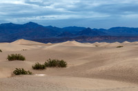 Death Valley mesquite sand dunes