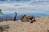 Death Valley mesquite sand dunes
