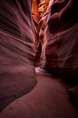 Canyon-X