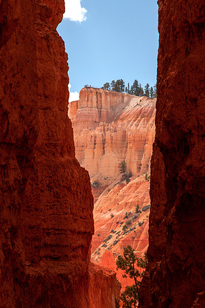 Bryce National Park 5