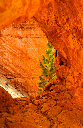 Bryce National Park 1