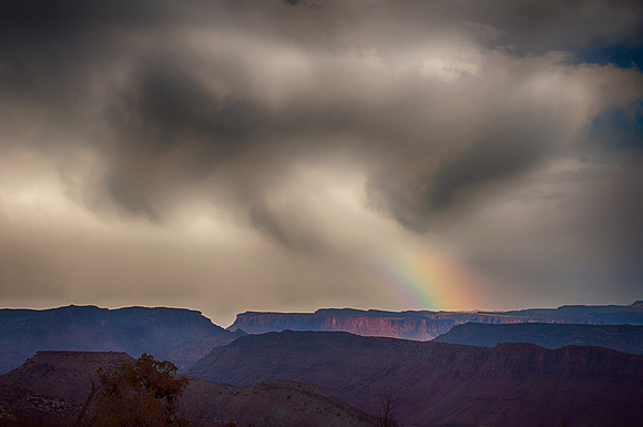After the Storm
