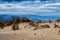 Death Valley mesquite sand dunes