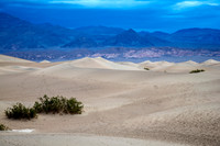 Death Valley mesquite sand dunes