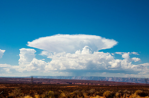 Cumulonimbus capillatus incus