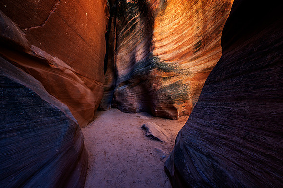 Canyon-X