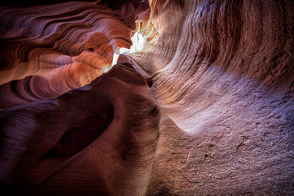 Canyon-X