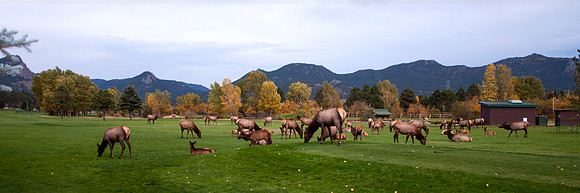 Second Tee Estes Park Golf Course