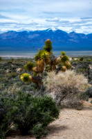 Somewhere in the Nevada Desert